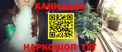 индика Лесосибирск