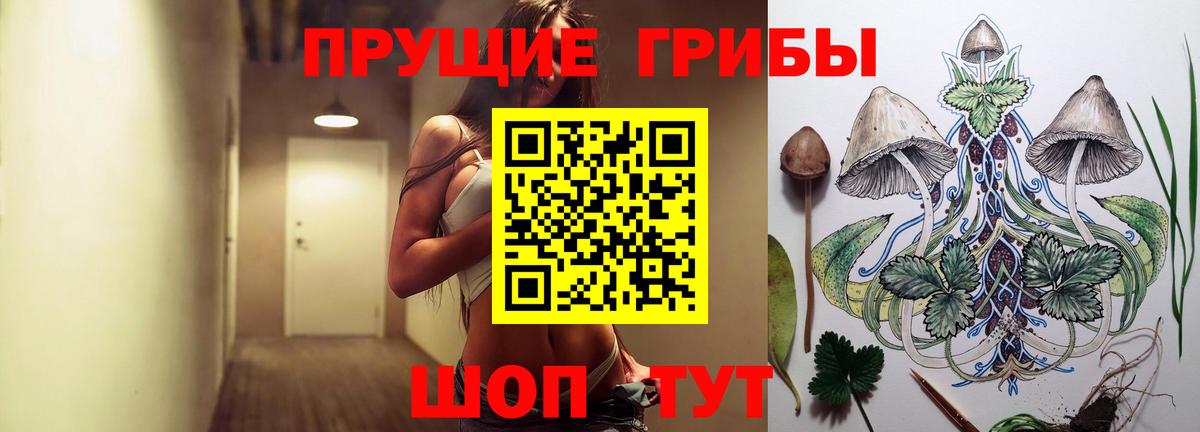 Галлюциногенные грибы Magic Shrooms  Псилоцибиновые грибы мицелий  Донской  Вход с VPN 
