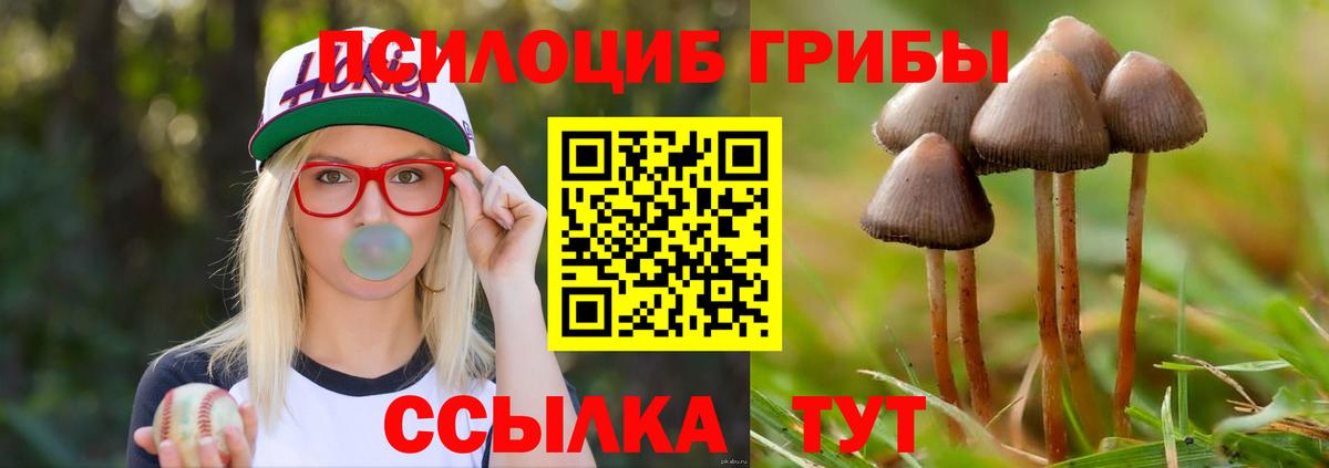 Псилоцибиновые грибы мухоморы Донской